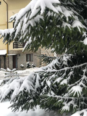 Apartament Nicolle